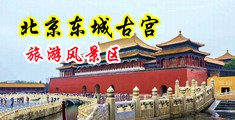 黑丝女被操的直叫中国北京-东城古宫旅游风景区